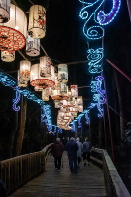 Lantern Festival 2021_36.jpg