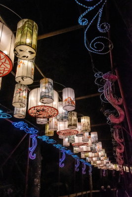 Lantern Festival 2021_37.jpg
