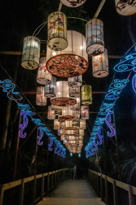 Lantern Festival 2021_38.jpg