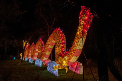 Lantern Festival 2021_39.jpg