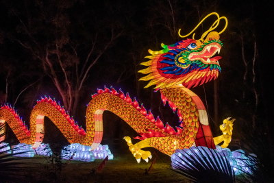 Lantern Festival 2021_47.jpg