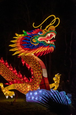 Lantern Festival 2021_48.jpg