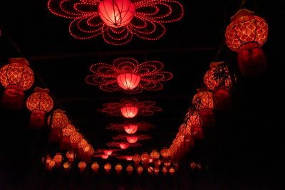Lantern Festival 2021_49.jpg