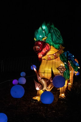 Lantern Festival 2021_50.jpg
