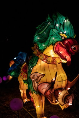 Lantern Festival 2021_51.jpg