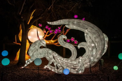 Lantern Festival 2021_53.jpg