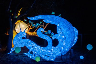 Lantern Festival 2021_56.jpg