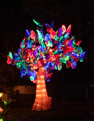 Lantern Festival 2021_57.jpg