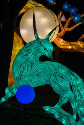 Lantern Festival 2021_58.jpg