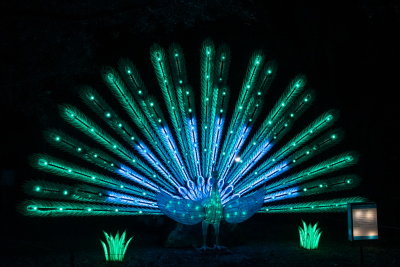 Lantern Festival 2021_63.jpg