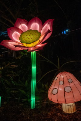 Lantern Festival 2021_67.jpg