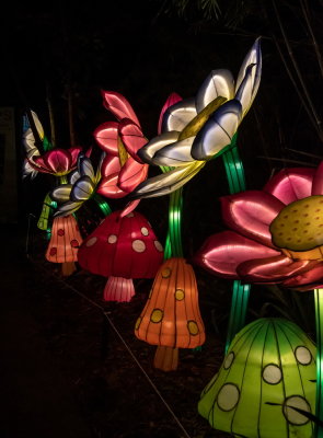 Lantern Festival 2021_69.jpg