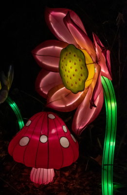 Lantern Festival 2021_70.jpg