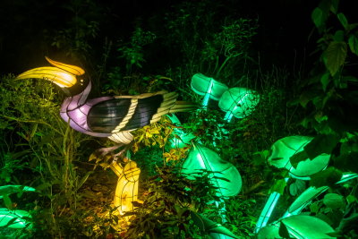 Lantern Festival 2021_71.jpg