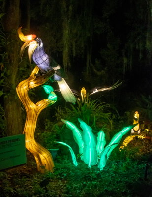 Lantern Festival 2021_72.jpg
