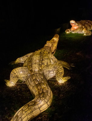 Lantern Festival 2021_75.jpg