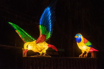 Lantern Festival 2021_79.jpg