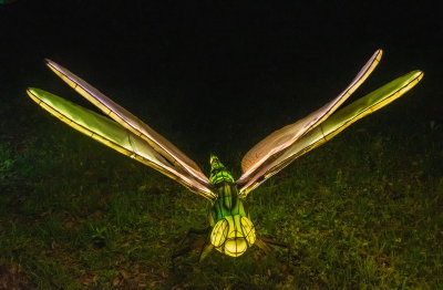 Lantern Festival 2021_80.jpg