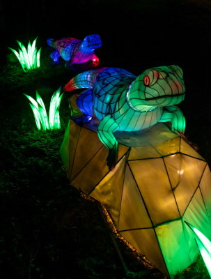 Lantern Festival 2021_81.jpg