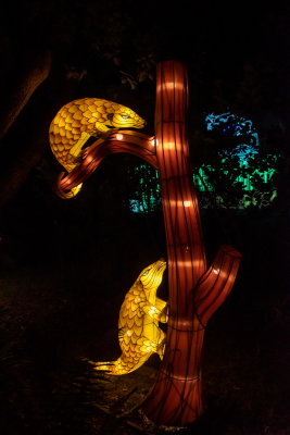 Lantern Festival 2021_88.jpg