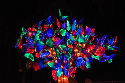 Lantern Festival 2021_90.jpg