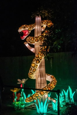 Lantern Festival 2021_91.jpg