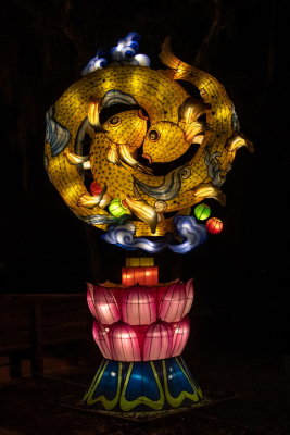 Lantern Festival 2021_94.jpg