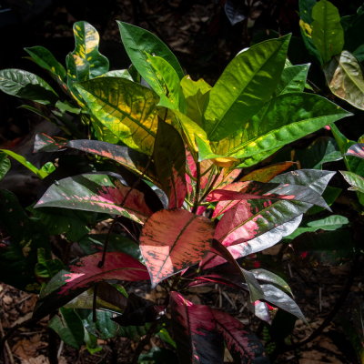 Sunken Gardens_43.jpg