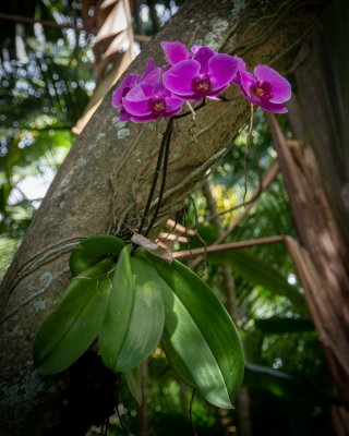 Sunken Gardens_44.jpg