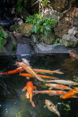 Sunken Gardens_51.jpg