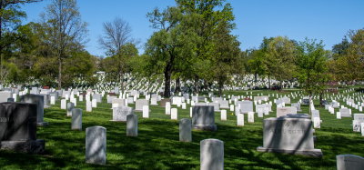Arlington_1.jpg