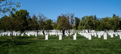 Arlington_2.jpg