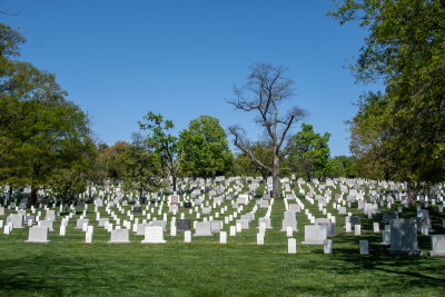 Arlington_3.jpg