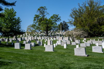 Arlington_5.jpg