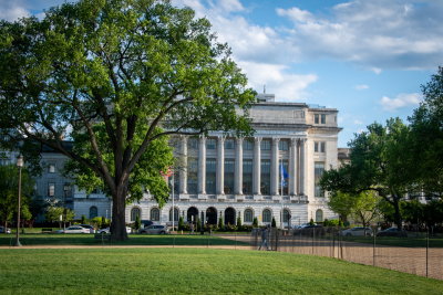 National Mall-6.jpg