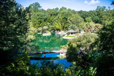 Cedar Lake Gardens-11.jpg