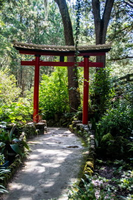 Cedar Lake Gardens-12.jpg