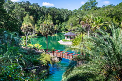 Cedar Lake Gardens-26.jpg
