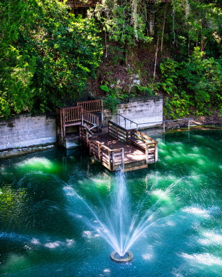 Cedar Lake Gardens-29.jpg