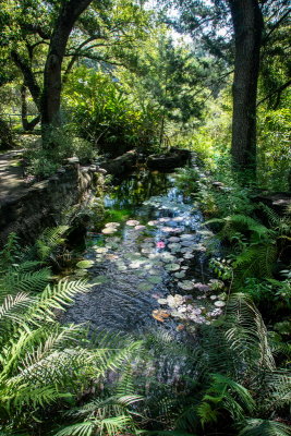Cedar Lake Gardens-4.jpg