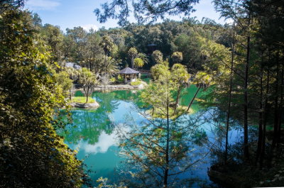 Cedar Lake Gardens-7.jpg