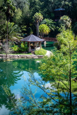 Cedar Lake Gardens-8.jpg