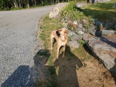 20190730_094304.jpg