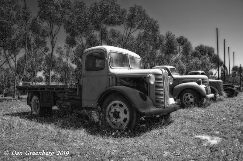 What a Line Up B&W