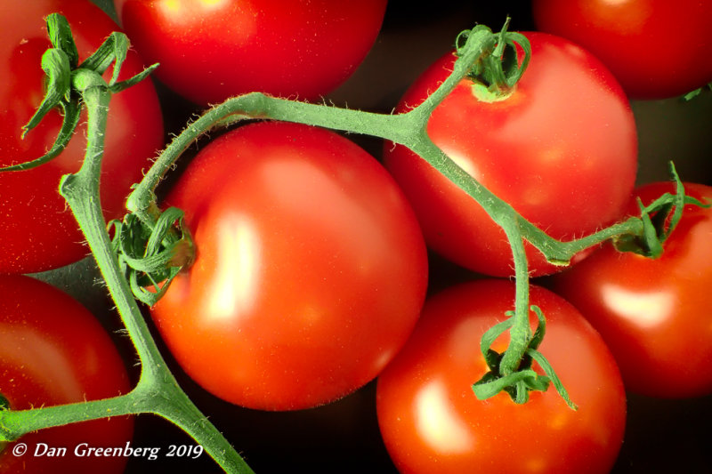 Tomatoes on the Vine