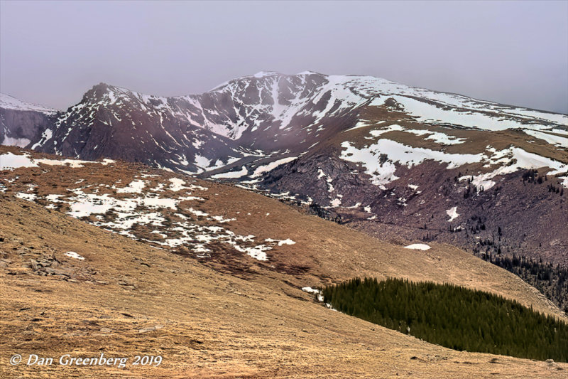 Way Above the Tree Line