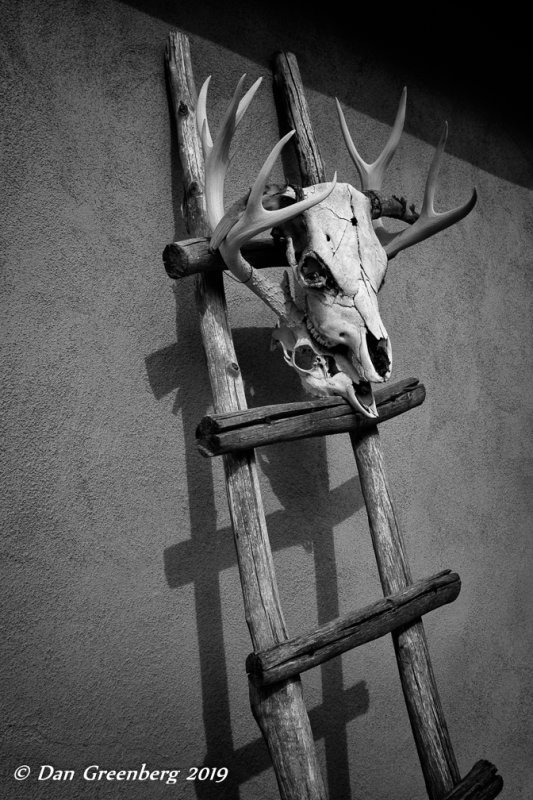 Two Skulls on a Ladder