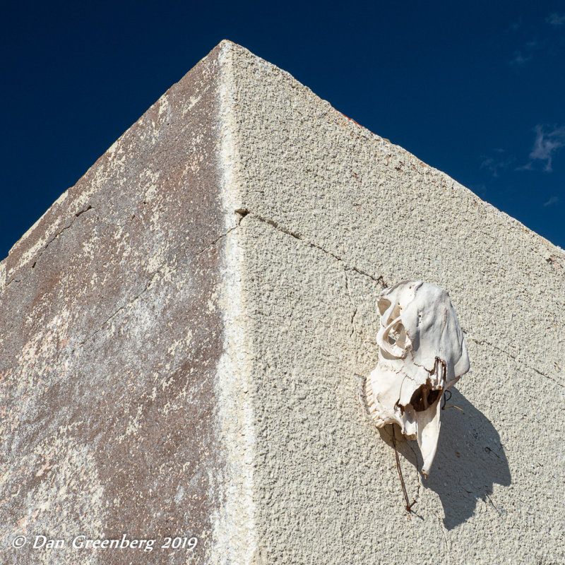 A Skull on a Wall
