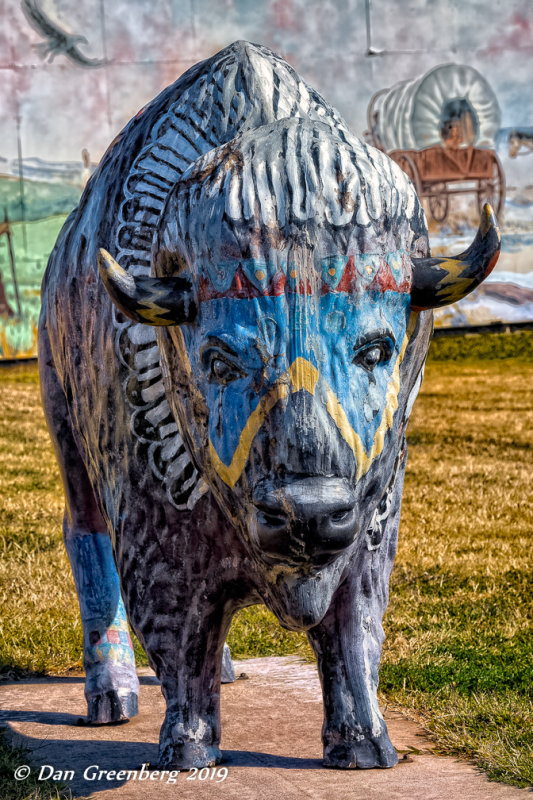 Painted Buffalo 