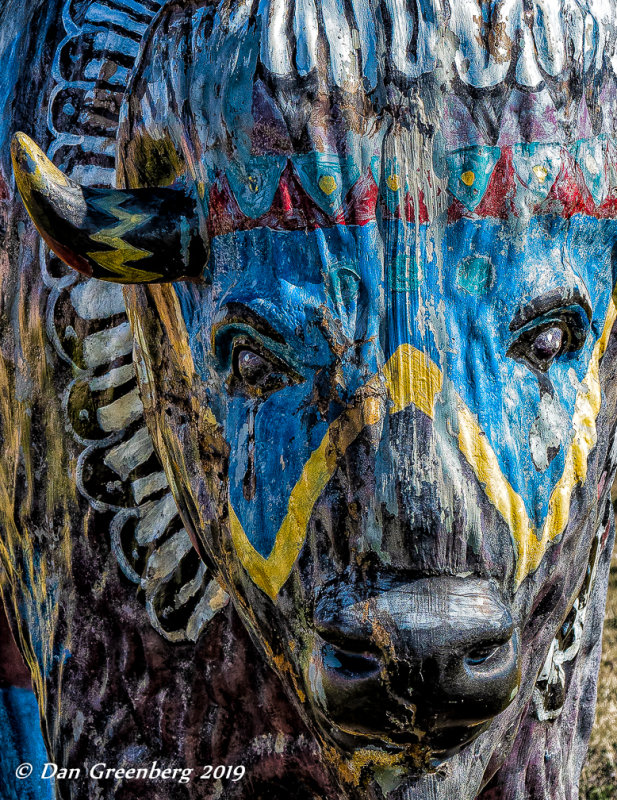 Painted Buffalo Closeup 